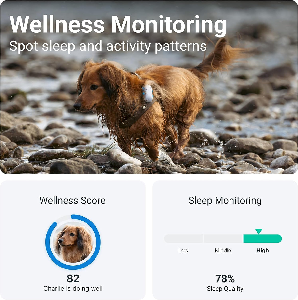 TRACTIVE GPS Tracker for Dogs with activity monitoring