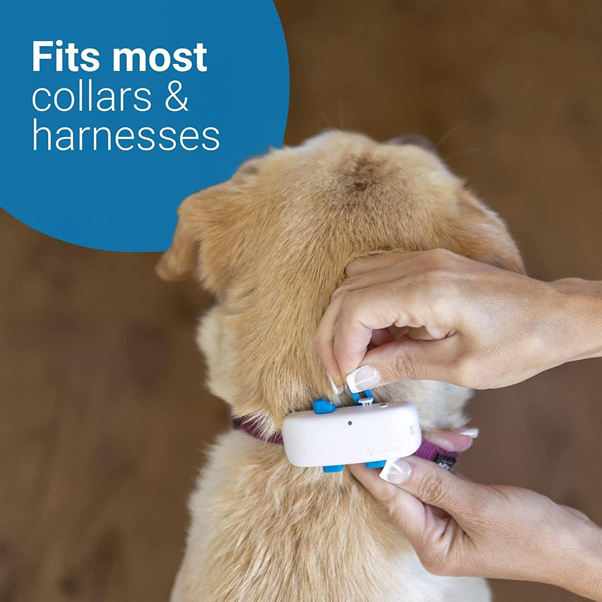 TRACTIVE GPS Tracker for Dogs with activity monitoring