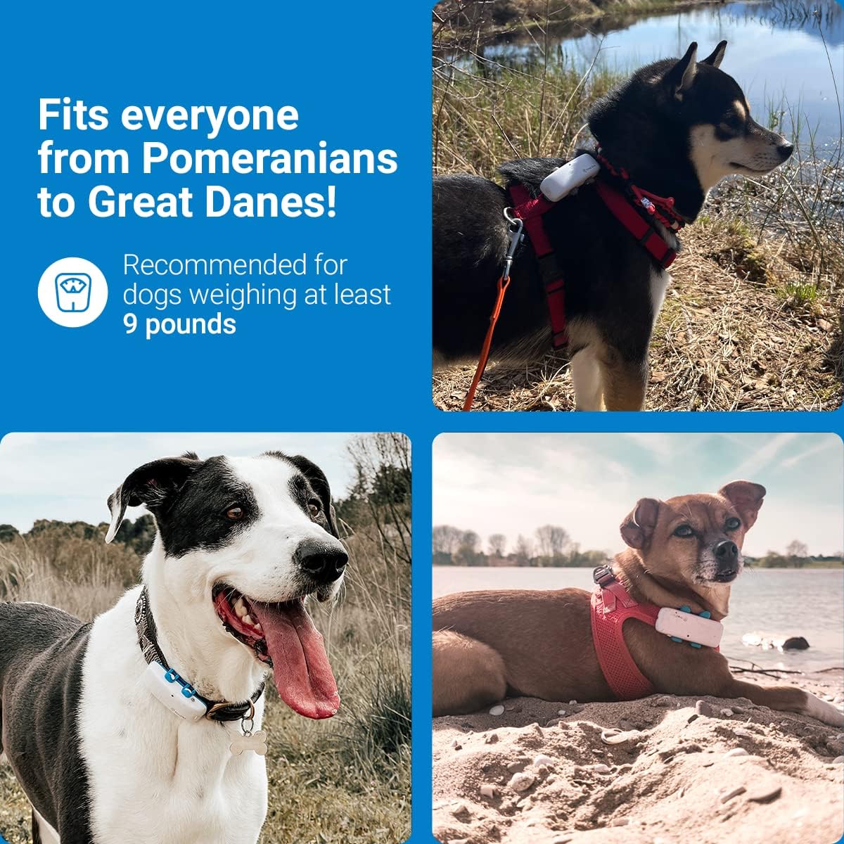 TRACTIVE GPS Tracker for Dogs with activity monitoring